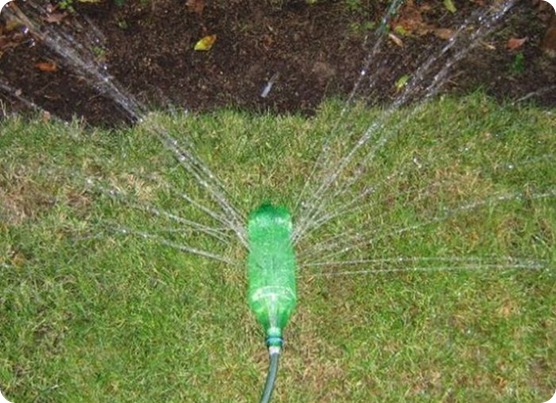 0sa1