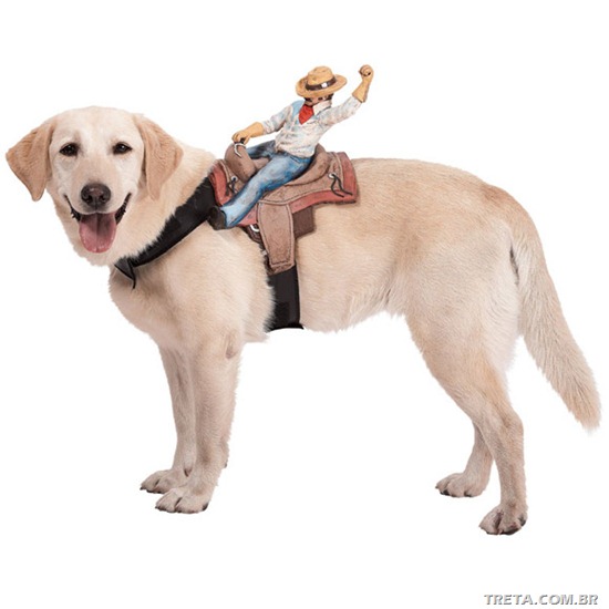 Dog-Riders-Pet-Costumes