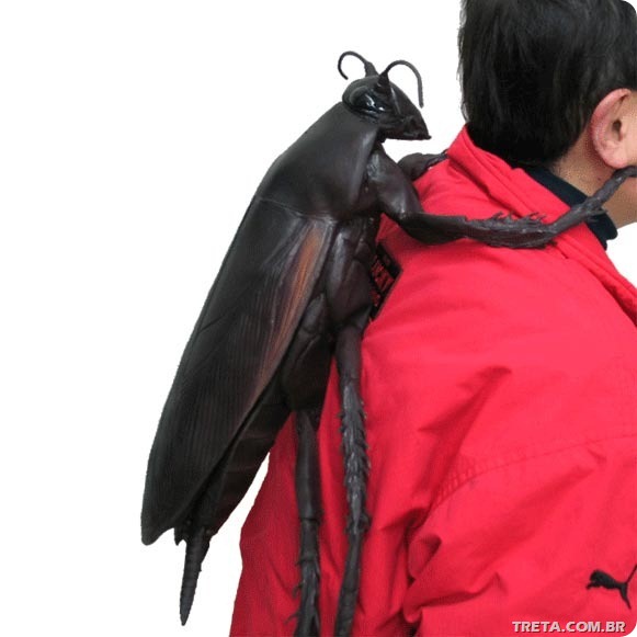 Barata-Mochila-Bem-Legaus-1