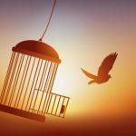 liberdade-de-um-passaro-deixando-sua-gaiola-vetor