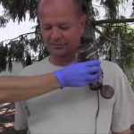 neverwet-o-repelente-de-liquidos-em-spray.html