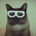 Skifcha Cat x Skifcha Woman
