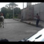 T&aacute; amarrado, deabo!