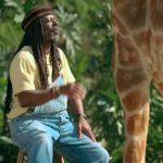 A criatividade publicit&aacute;ria e as drogas