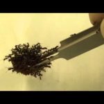 Animal Planet 2.0 (2)