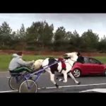 Fuck the police (86)
