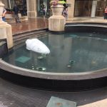 Robô de segurança se suicida após ouvir história triste robot-water