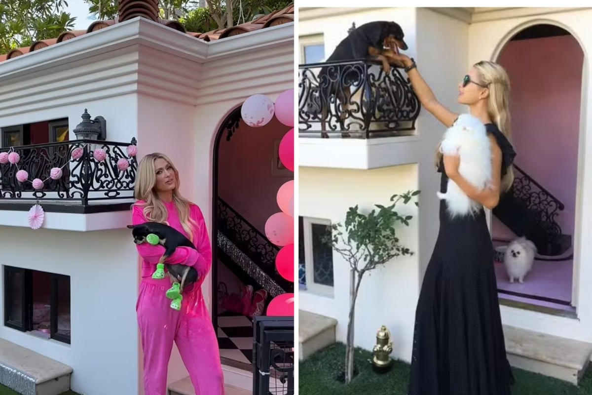 Mansão dos cães de Paris Hilton vale quase R$ 2 milhões e voltou a viralizar