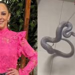 Silvia Abravanel reencontra jiboia desaparecida há 5 meses dentro de casa