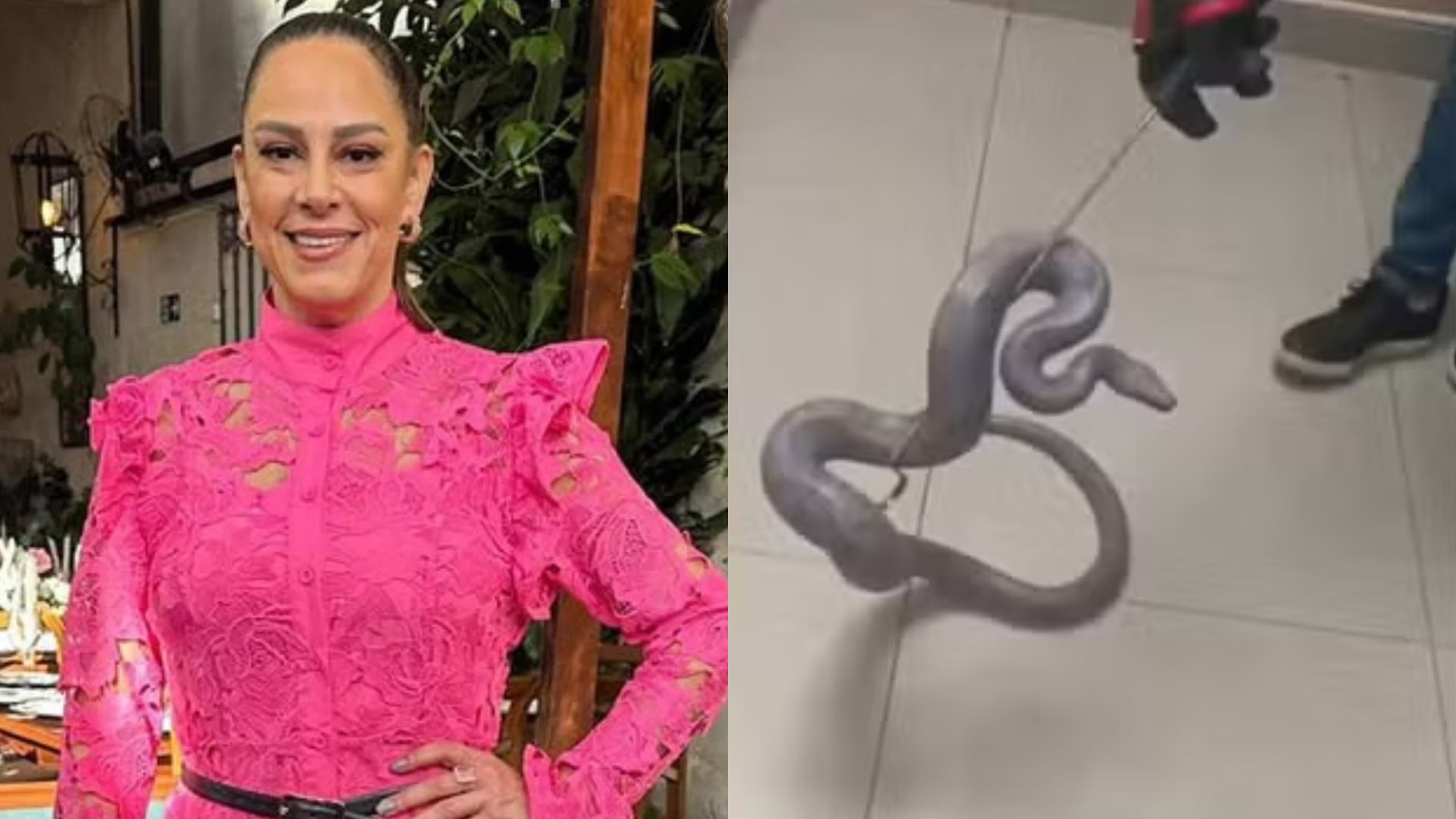 Silvia Abravanel reencontra jiboia desaparecida há 5 meses dentro de casa