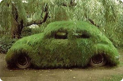 carro-verde